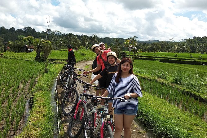 Ubud Cycling Tour - Mount Batur Breakfast Break with Lake Batur Views