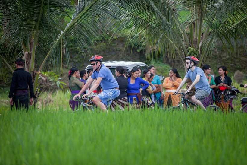 Ubud Cycling Tour : All Inclusive Cycling Adventure - What You Actually Get for $33: Value Breakdown