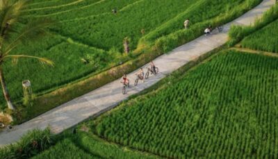 Ubud: Cycling Tour Local Villages, Temple, and Rice Field - From your Ubud hotel to Kintamani views of Mount Batur
