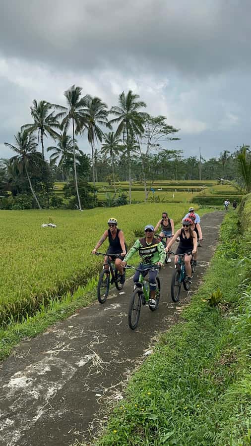 Ubud: Cycling Tour Local Villages, Temple, and Rice Field - Coffee plantation tasting with free samples and Luwak coffee