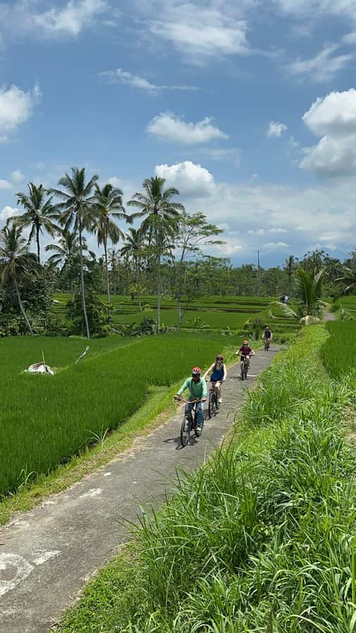 Ubud: Cycling Tour Local Villages, Temple, and Rice Field - Lunch after cycling: Balinese food that actually matters