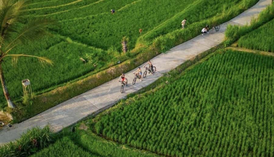 Ubud: Cycling Tour Local Villages, Temple, and Rice Field - From your Ubud hotel to Kintamani views of Mount Batur