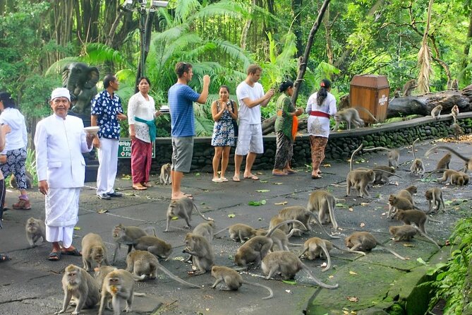 Ubud Day Tour: Sacred Monkey Forest, Tegenungan Waterfall, Rice Terrace - Tegenungan Waterfall: the stairs test you’ll want to prepare for