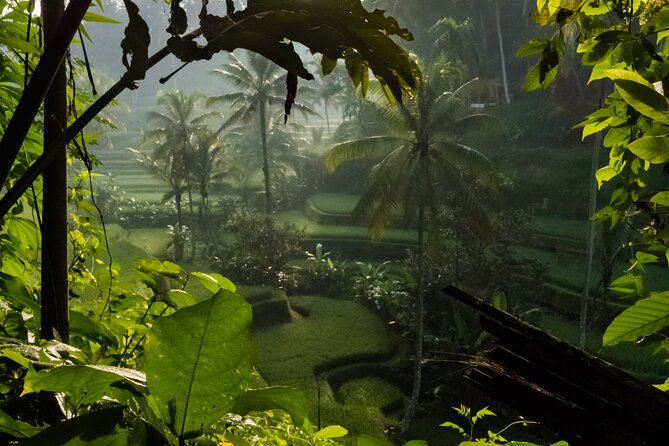 Ubud Day Tour - Top Things to do in Ubud + Local Ubud Guide - Tegalalang Rice Terrace: trekking through Ubud’s signature paddies