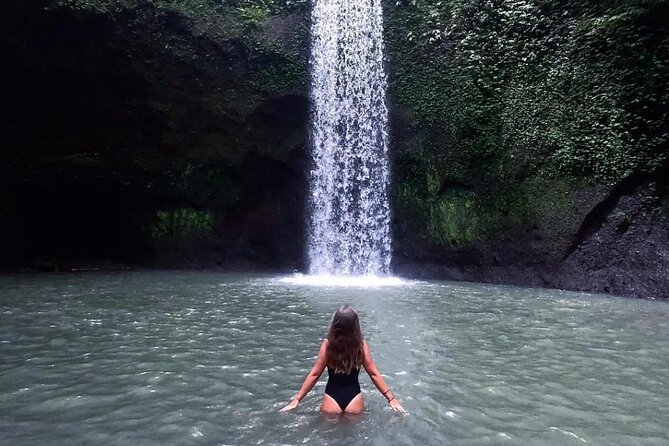 Ubud Day Tour : Waterfall, Temple and Local Night Market Tour - Sacred Monkey Forest Sanctuary: famous wildlife, real “sanctuary” energy