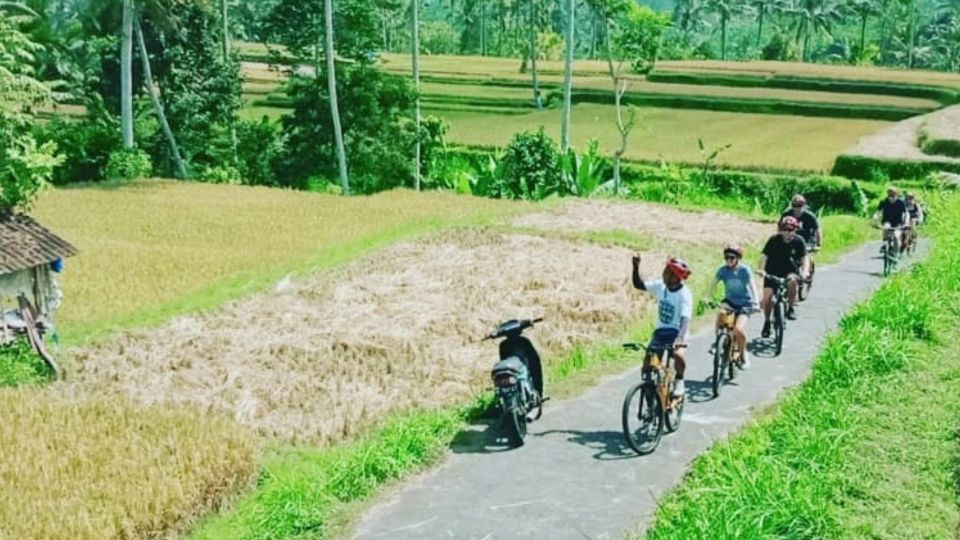 Ubud: Downhill Countryside Cycling From Kintamani - Who this cycling tour suits best