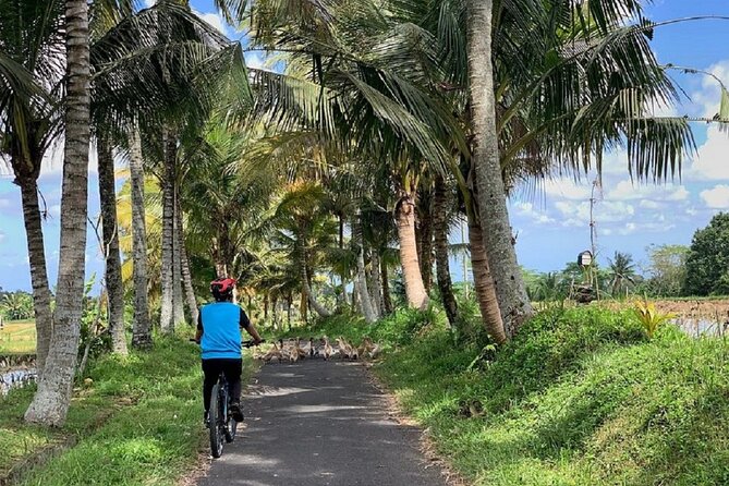 Ubud: Downhill Cycling with Volcano, Rice Terraces and Meal - The ride itself: about 18km downhill, mostly easy, watch the weather