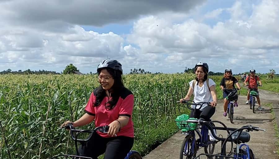 Ubud e-Bike Tour & Whitewater Rafting - Key Takeaways Before You Go