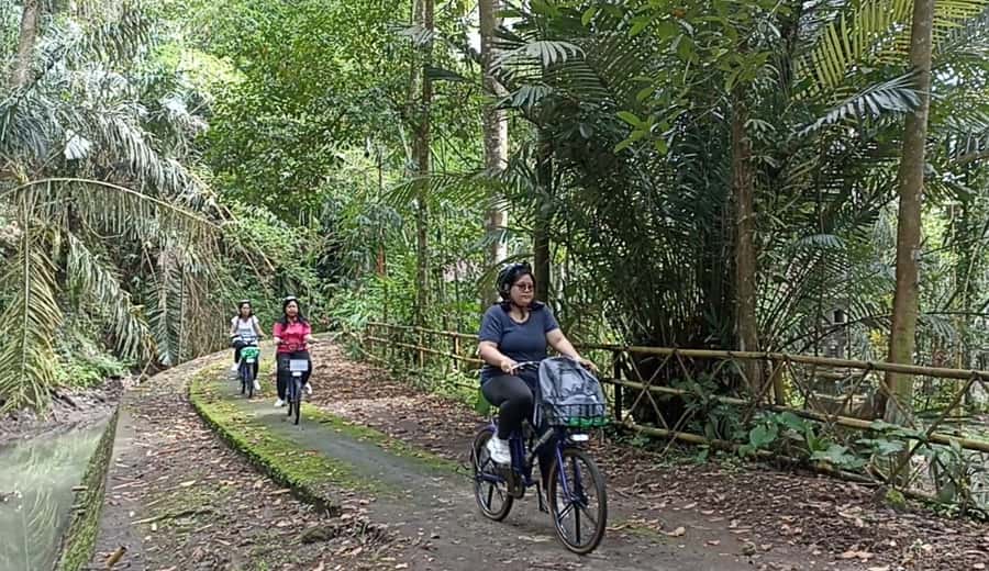 Ubud e-Bike Tour & Whitewater Rafting - Why This Combo Tour Works So Well in Ubud