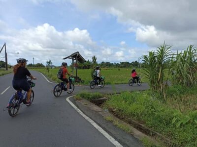 Ubud e-Bike Tour & Whitewater Rafting - E-Bike Through Mambal: Subak Rice Fields and Village Life