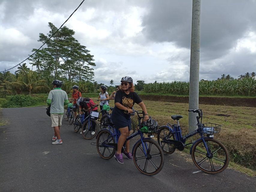 Ubud e-Bike Tour & Whitewater Rafting - Group Size and Guides: Why the Experience Feels More Personal