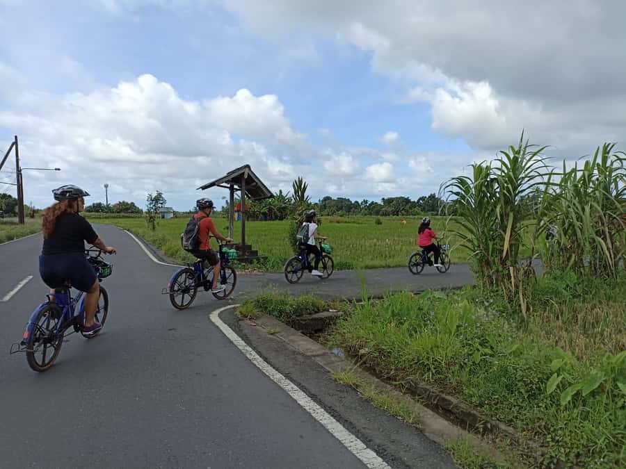 Ubud e-Bike Tour & Whitewater Rafting - E-Bike Through Mambal: Subak Rice Fields and Village Life