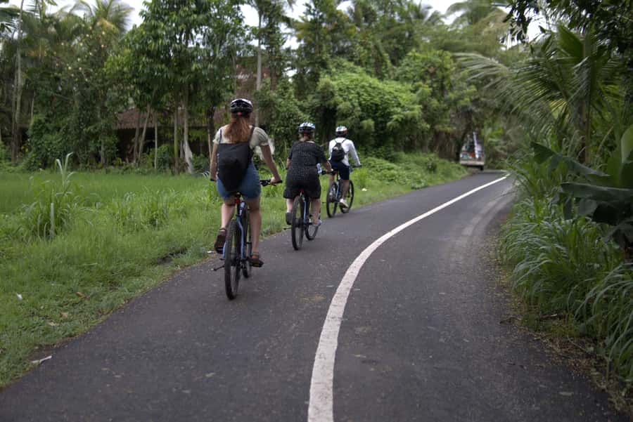 Ubud: E-Bike Tour with Rice Terrace and Village Visit - Key Highlights Worth Plotting Around
