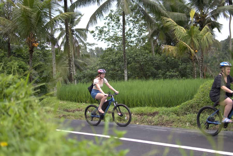 Ubud: E-Bike Tour with Rice Terrace and Village Visit - The Ride: Flat-FEEL E-Bike Paths With Real-Life Road Parts