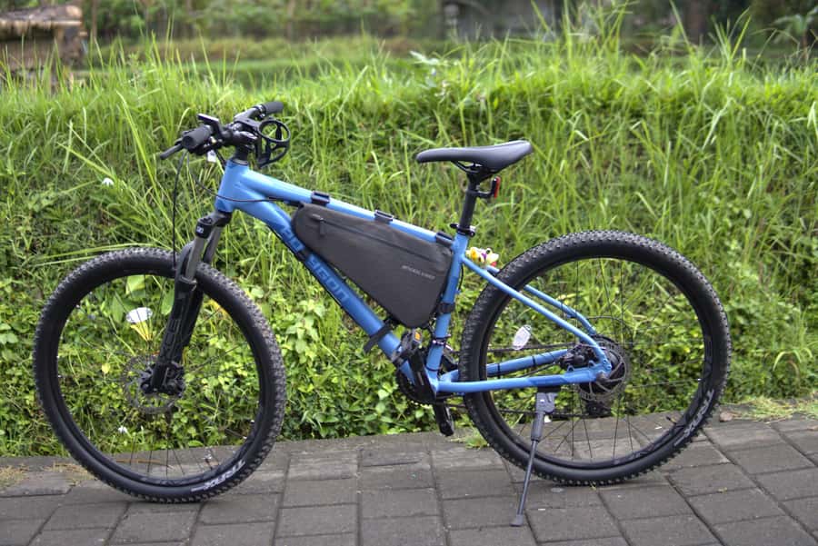 Ubud: E-Bike Tour with Rice Terrace and Village Visit - Price and Value: Is $27 for 3 Hours Actually Fair?