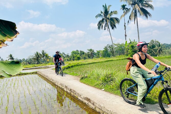 Ubud eBikes Tour to Tegallalang Rice Terrace - Ubud e-bikes: the kind of ride you’re really signing up for