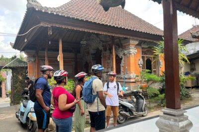 Ubud eBikes Tour to Tegallalang Rice Terrace - Price and value: why $30.55 can make sense here