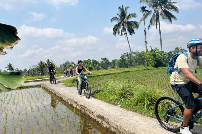 Ubud eBikes Tour to Tegallalang Rice Terrace - Stop 1 at the eBikes Ubud Tour office: orientation that actually helps
