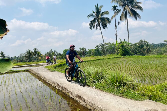 Ubud eBikes Tour to Tegallalang Rice Terrace - Stop 3: Tegallalang Rice Terrace time, photos, and lunch