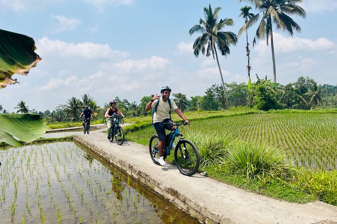 Ubud eBikes Tour to Tegallalang Rice Terrace - Cultural stops: Balinese houses, temples, and how guides make it click
