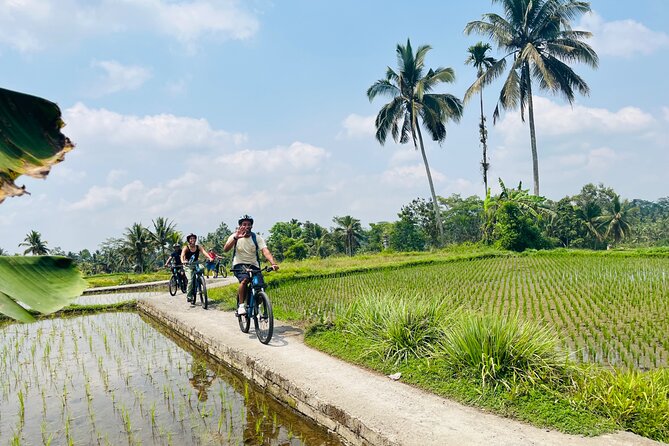 Ubud eBikes Tour to Tegallalang Rice Terrace - Pacing and expectations: who will love this, who might not