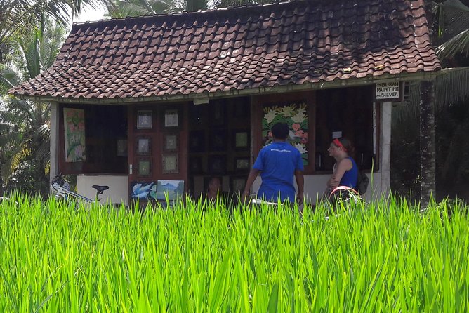 Ubud Eco Culture Cycling Exploration - The morning flow: Sukma Street, Monkey Forest, then rice paddies