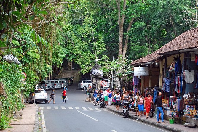 Ubud Eco Culture Cycling Exploration - Peliatan views and paddy pauses: coconut juice and optional art
