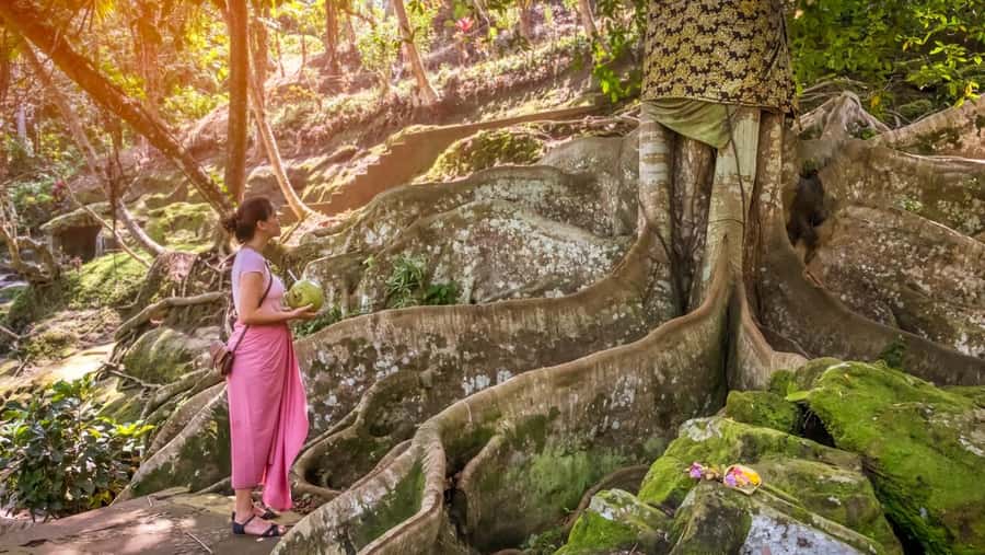 Ubud: Elephant Cave & Pakerisan UNESCO Guided Tour - Guided Tours: Why Sana and Sukar Make a Difference