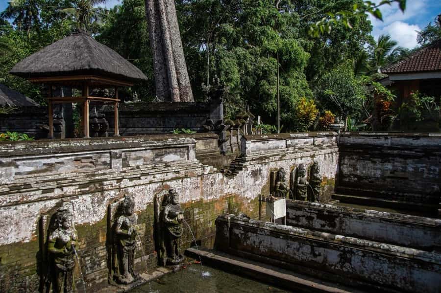 Ubud: Elephant Cave & Pakerisan UNESCO Guided Tour - When to Go: Morning Calm Beats Afternoon Heat