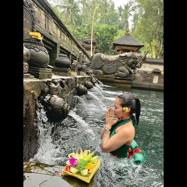 Ubud Experience : Waterfalls, Rice Terraces and Water Temple - Key highlights to know before you go