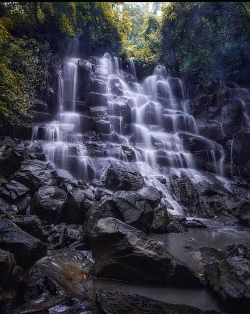 Ubud Experience : Waterfalls, Rice Terraces and Water Temple - Price and Value: Why $37 Works (and When It Might Not)