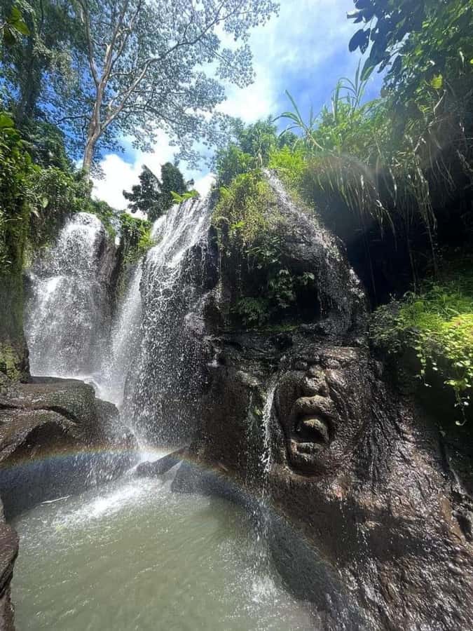 Ubud Experiences : Spiritual Escape Tour and Beji Waterfall - First, pick the right option: palm reading + Beji vs Beji-only