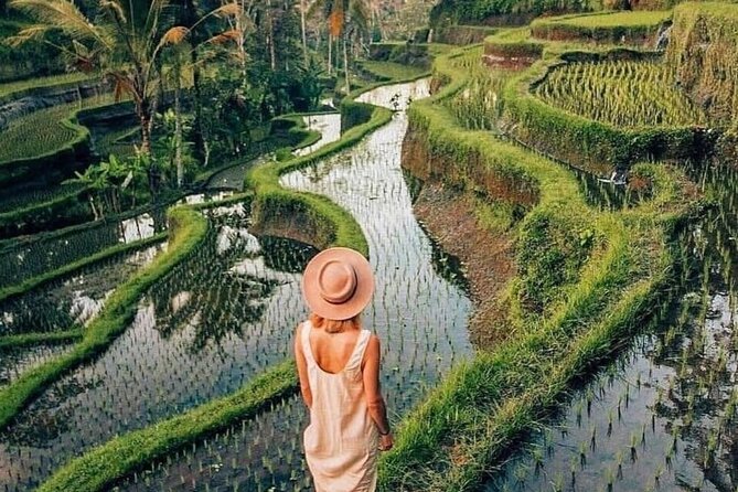 Ubud Explorer Private Day Tour - The flow: a 10-hour route that avoids the usual chaos