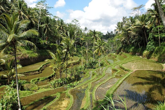 Ubud Explorer Private Day Tour - Stop 5: Tirta Empul Temple and cleansing water ritual