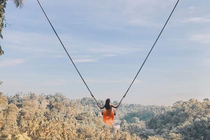 Ubud Full Day - Monkey Forest, Rice Terrace and Waterfalls Tour - Key things to know before you go