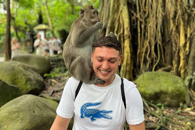 Ubud Full Day - Monkey Forest, Rice Terrace and Waterfalls Tour - Why this Ubud day tour works from Seminyak