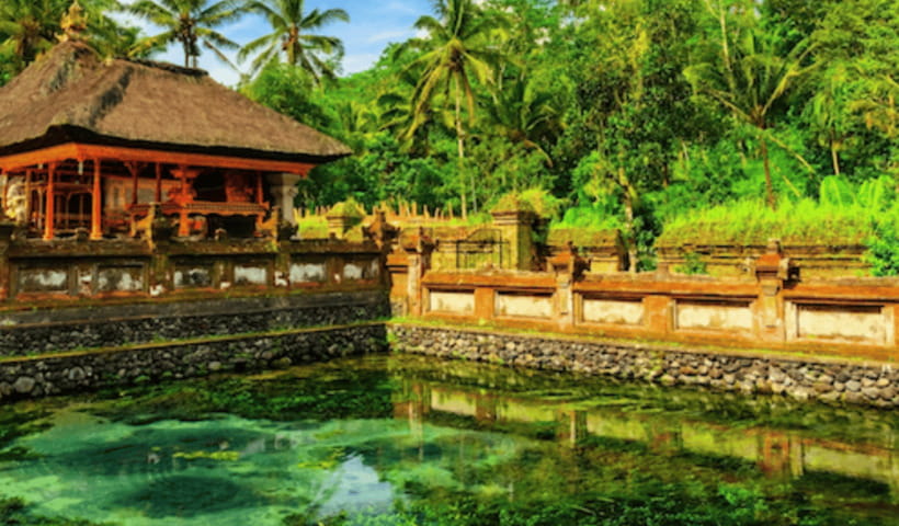 Ubud Full Day Private Tour with All Inclusive - D Alas Warung swing: adrenaline over rice fields (with common-sense safety)