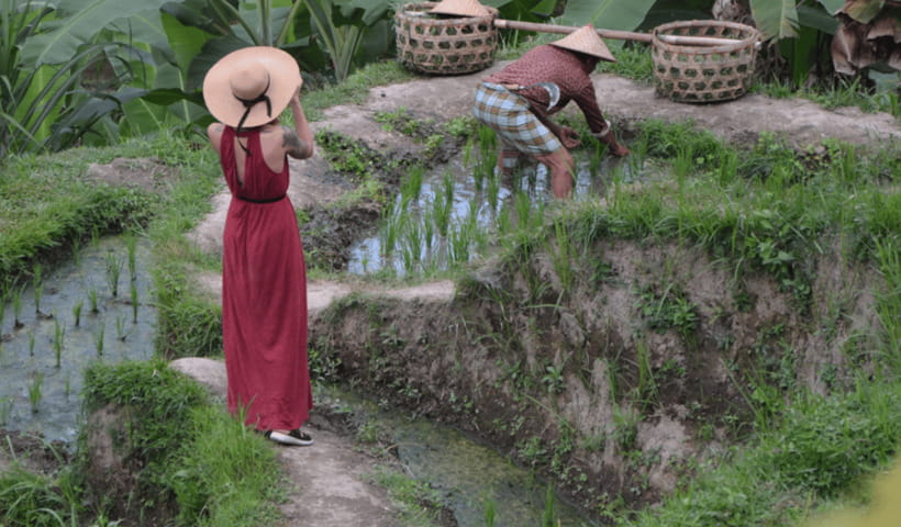 Ubud Full Day Private Tour with All Inclusive - Tirta Empul Temple: holy spring water and the Melukat setting