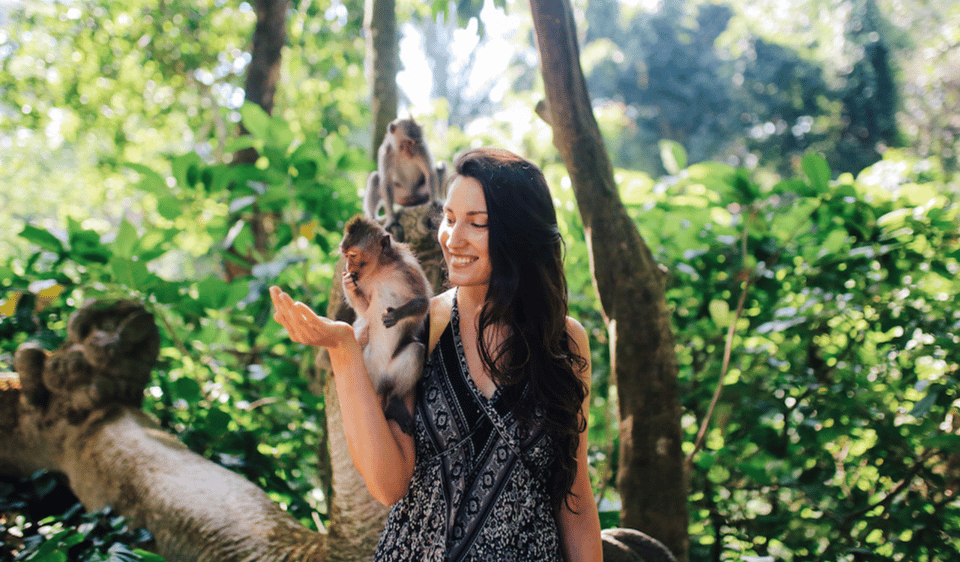 Ubud Full Day Private Tour with All Inclusive - Lunch and the all-inclusive value: where $19 really pays off