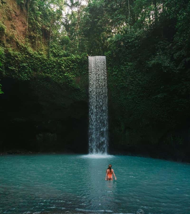 Ubud: Full-Day Rice Terrace, Monkey Forest & Waterfall - Tegalalang Rice Terrace: Iconic Views With a Little Real Walking