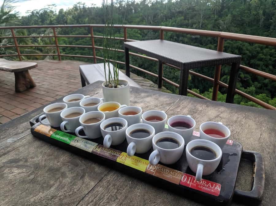Ubud: Full-Day Rice Terrace, Monkey Forest & Waterfall - Tibumana Waterfall: A Quiet Ending That Depends on Weather