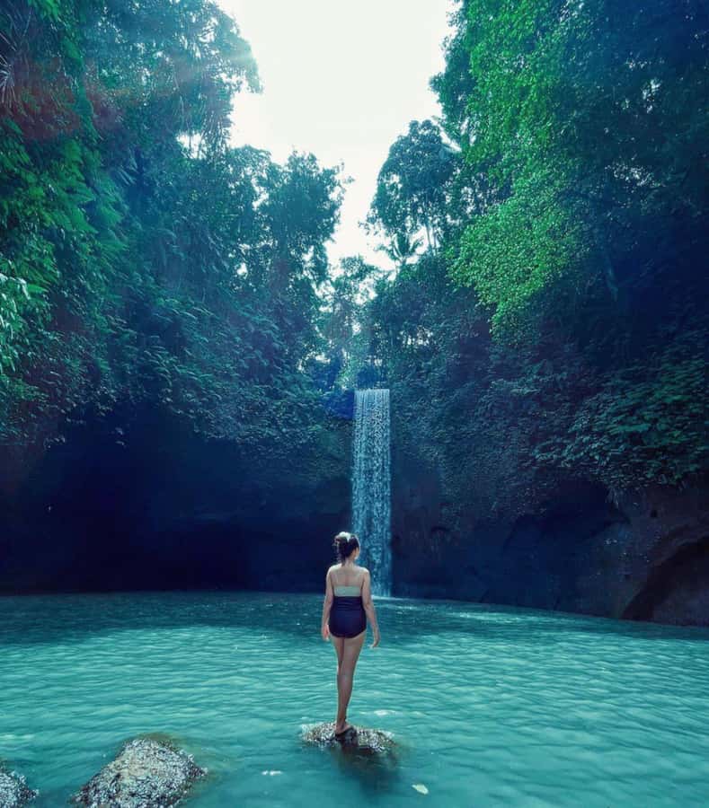 Ubud: Full-Day Rice Terrace, Monkey Forest & Waterfall - Price and Value: Is $23 a Good Deal for This Much Ubud?