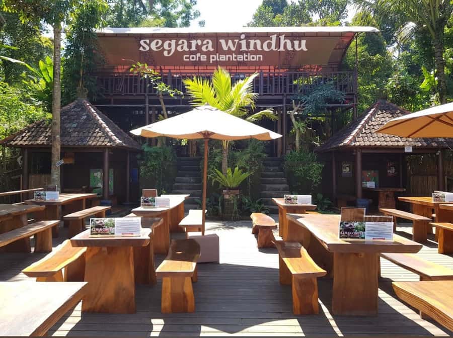 Ubud: Full-Day Rice Terrace, Monkey Forest & Waterfall - What to Pack (and What to Skip) So the Day Feels Easy