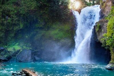 Ubud Full Day Tour Waterfall Monkey Forest Rice Terrace - Pickup Zones and the Air-Conditioned Car That Keeps You Sane