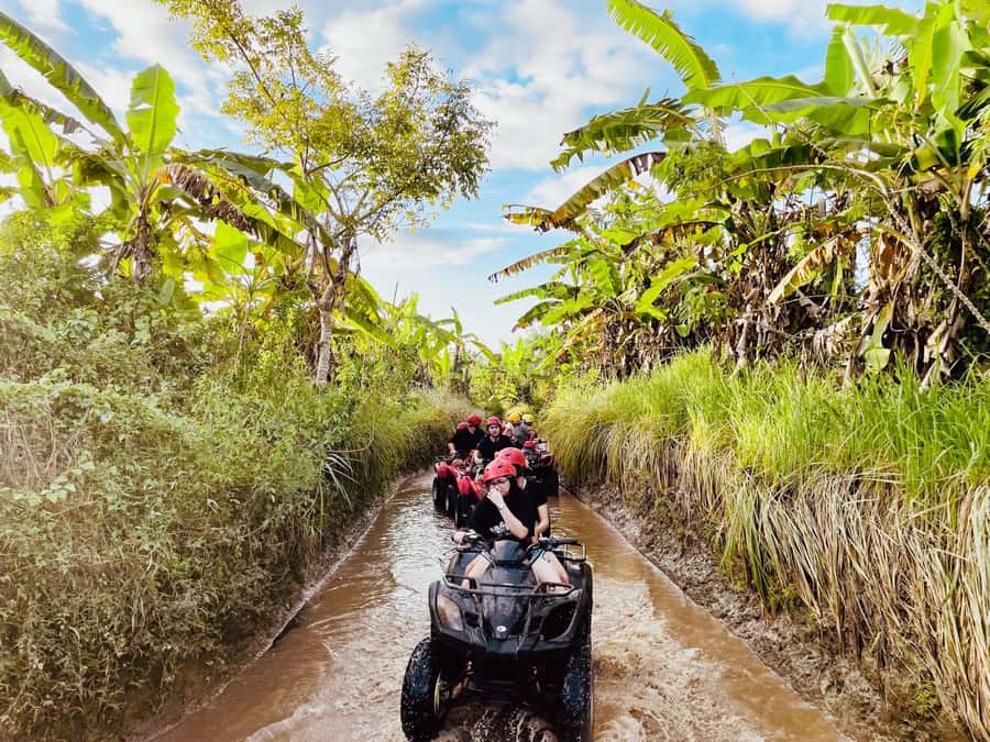 Ubud: Gorilla Face Quad Bike, Jungle Swing, Waterfall & Meal - Value for your day: $46 and three big attractions