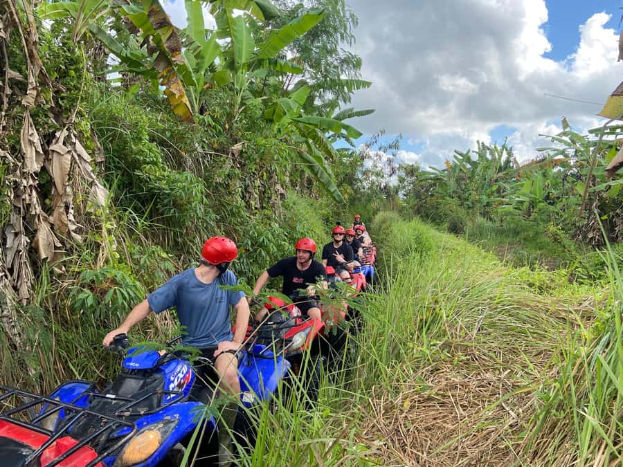 Ubud: Gorilla Face Quad Bike, Jungle Swing, Waterfall & Meal - Coffee stop and the swing setup at Satria Agrowisata