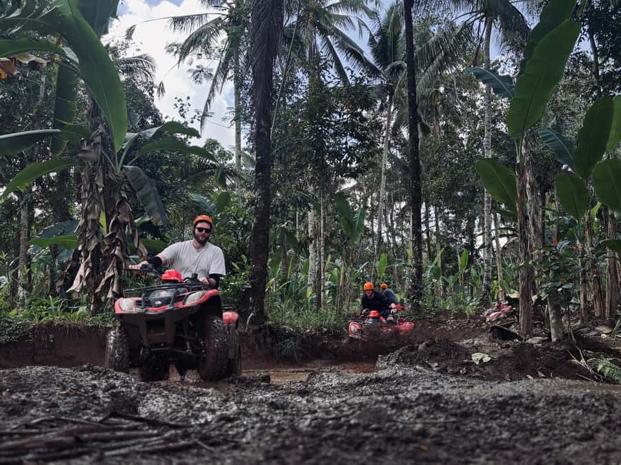 Ubud: Gorilla Face Quad Bike, Jungle Swing, Waterfall & Meal - Lunch and the small things that keep the day moving