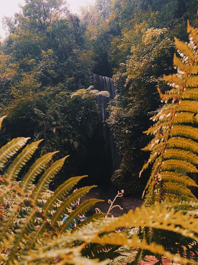 Ubud: Gorilla Face Quad Bike, Jungle Swing, Waterfall & Meal - Why the guides make (or break) this tour