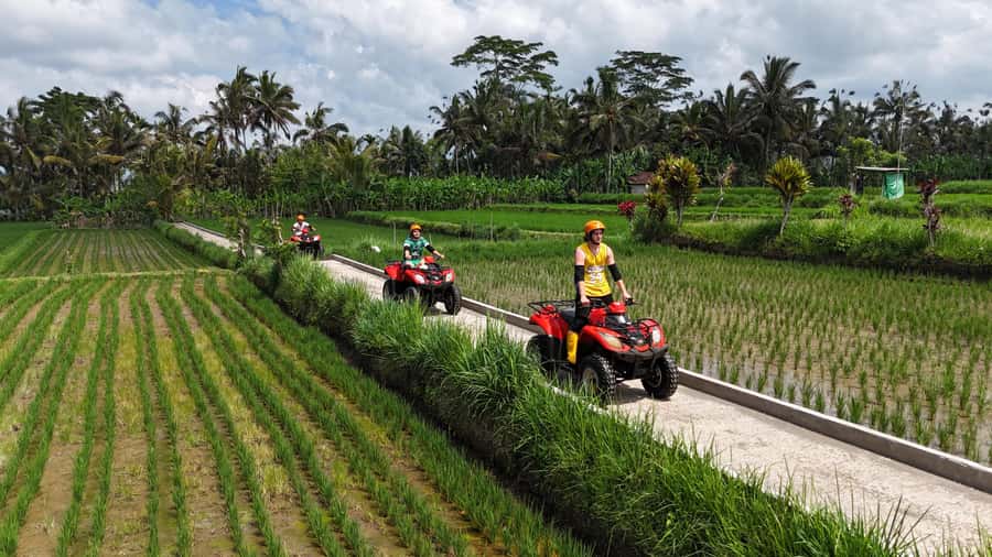 Ubud: Guided ATV Quad Bike Jungle Adventure with Lunch - Showers, lockers, and lunch: the part people underestimate