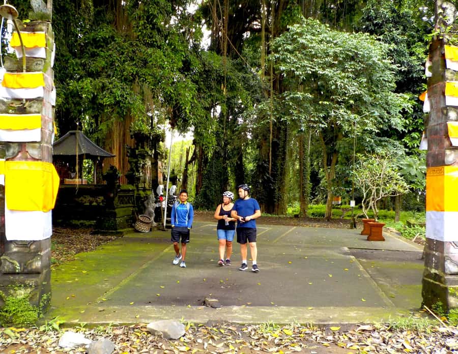 Ubud: Half-Day Tegallalang Electric Cycling Tour - Key things that stand out on this Ubud e-bike tour